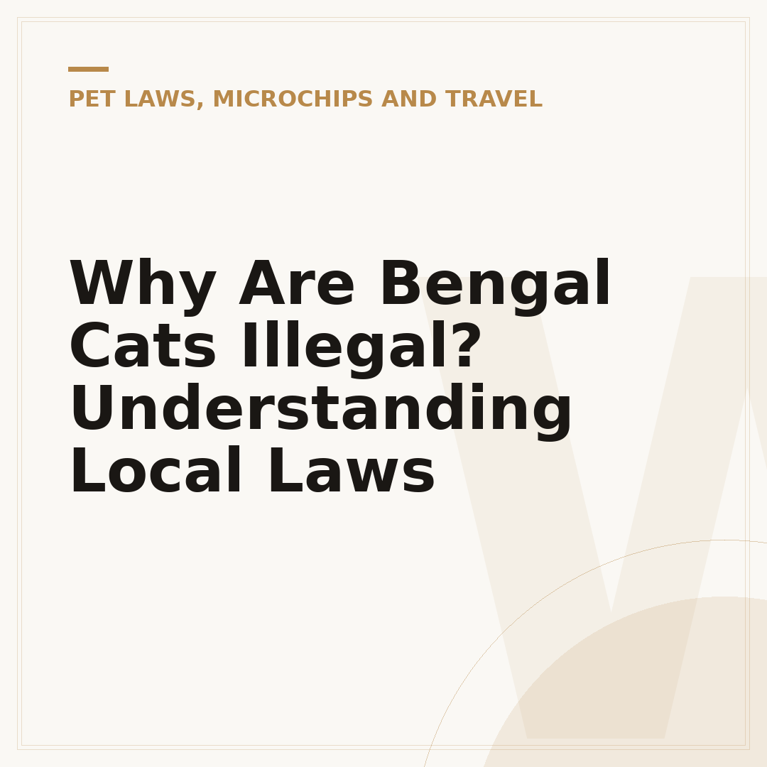 Why Are Bengal Cats Illegal? Understanding Local Laws