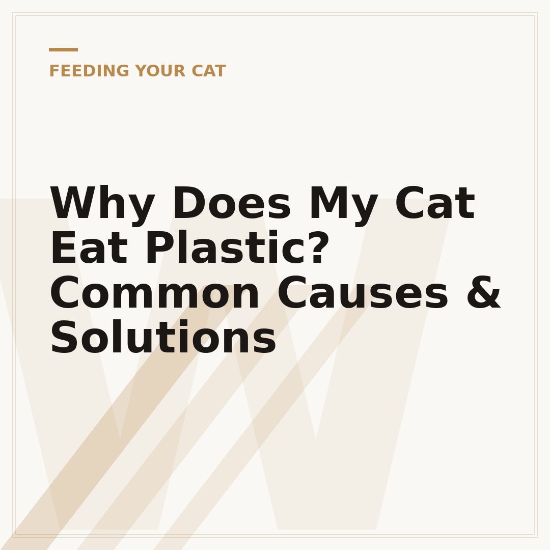 Why Does My Cat Eat Plastic? Common Causes & Solutions