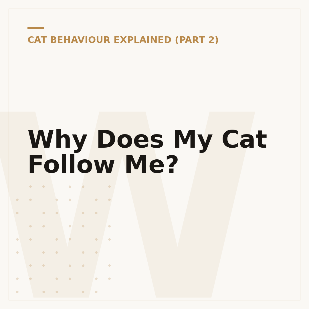 Why Does My Cat Follow Me?