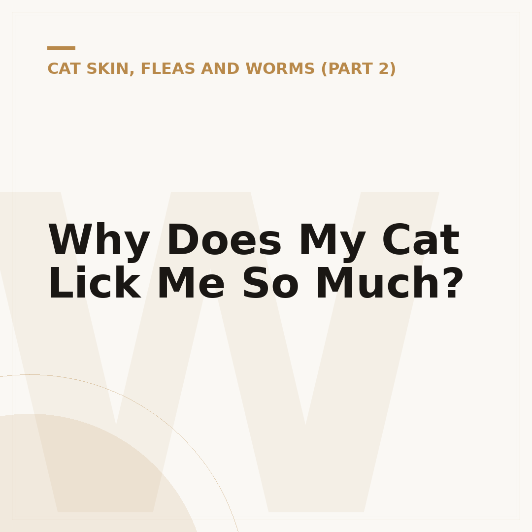Why Does My Cat Lick Me So Much?