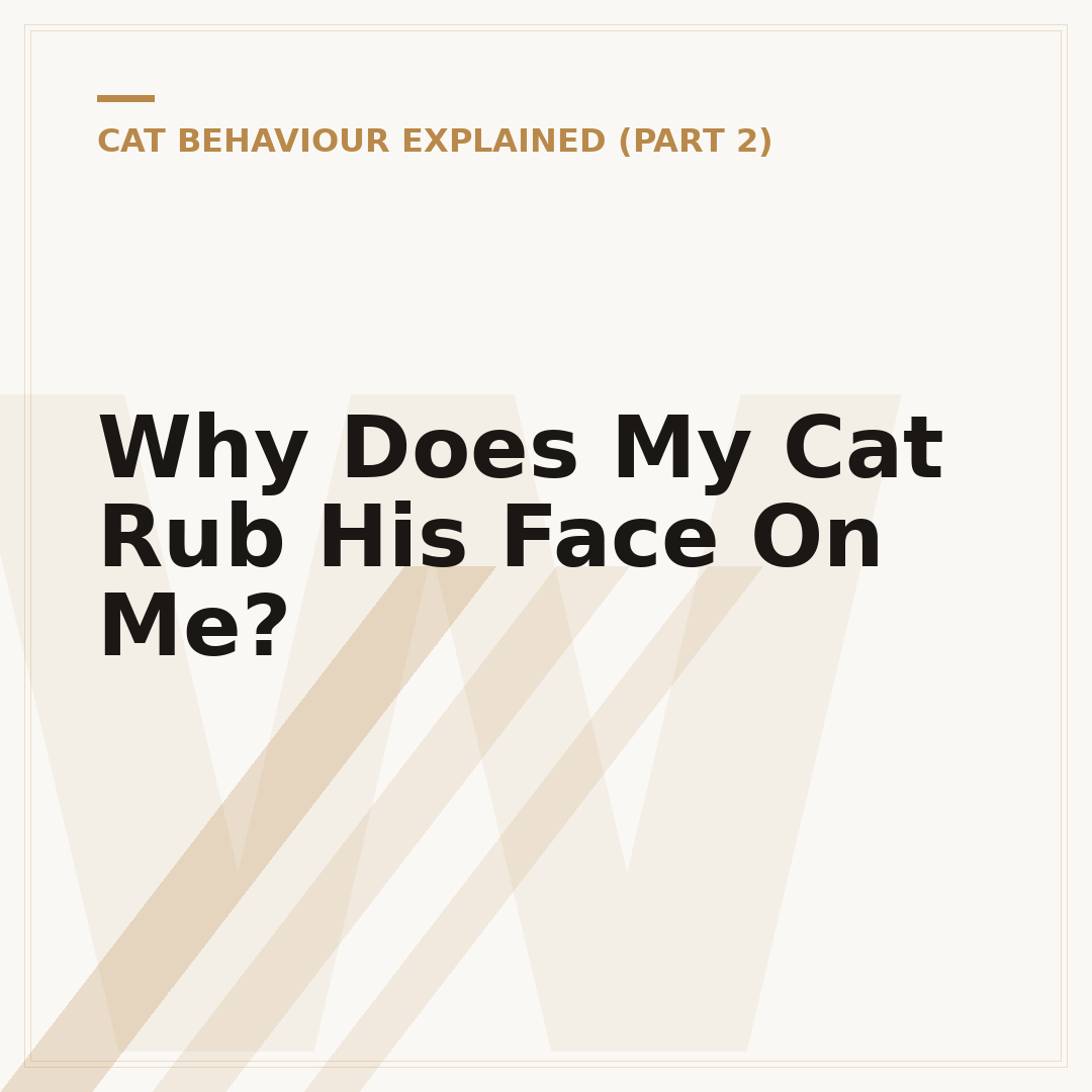 Why Does My Cat Rub His Face On Me?