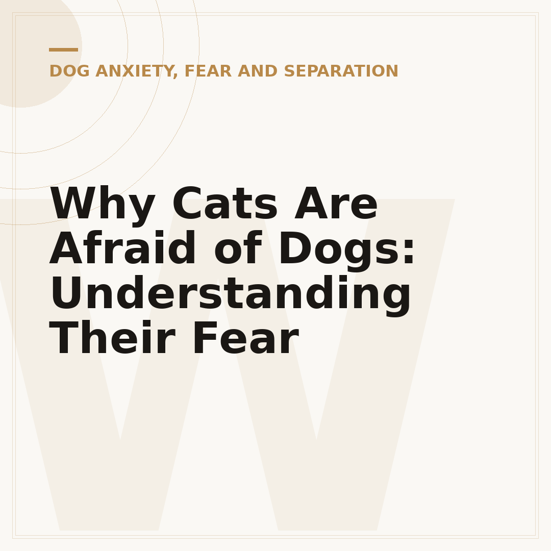 Why Cats Are Afraid of Dogs: Understanding Their Fear