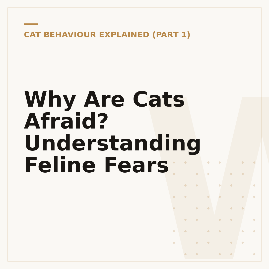 Why Are Cats Afraid? Understanding Feline Fears