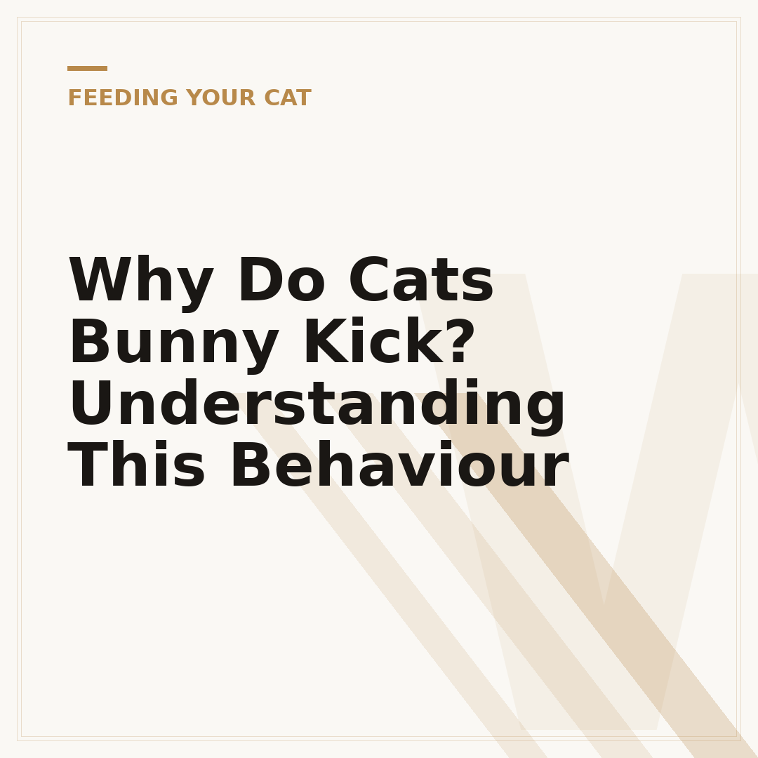 Why Do Cats Bunny Kick? Understanding This Behaviour