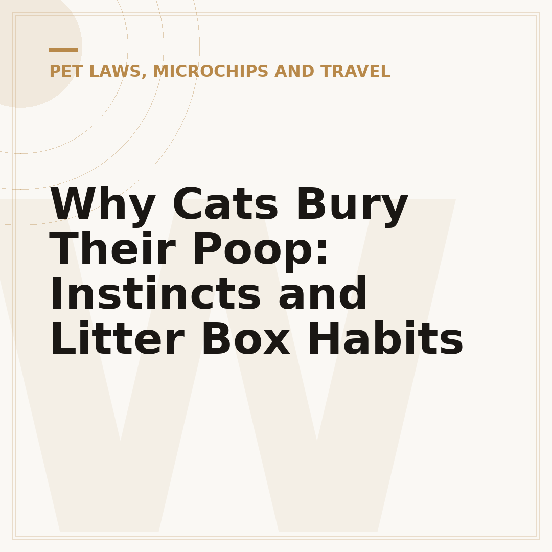 Why Cats Bury Their Poop: Instincts and Litter Box Habits