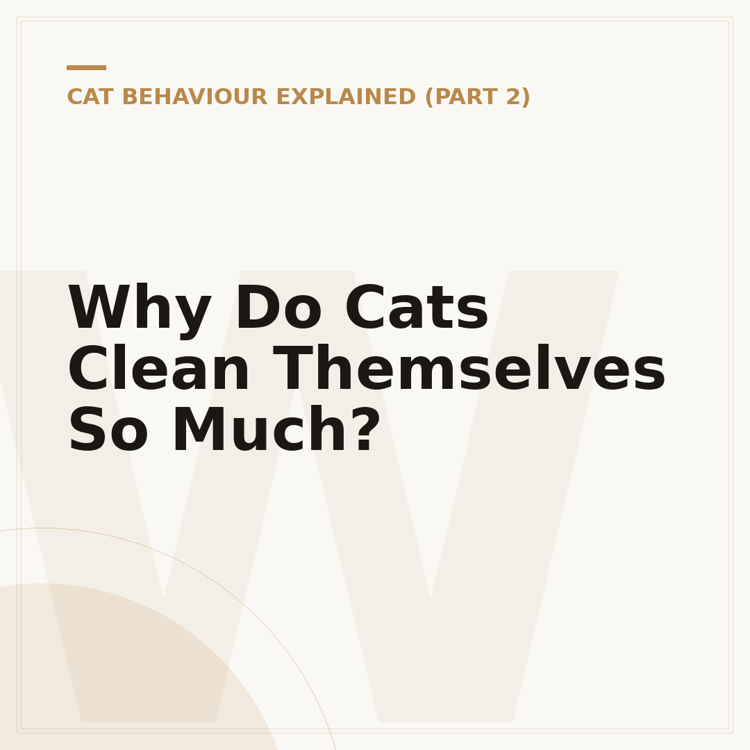 Why Do Cats Clean Themselves So Much?