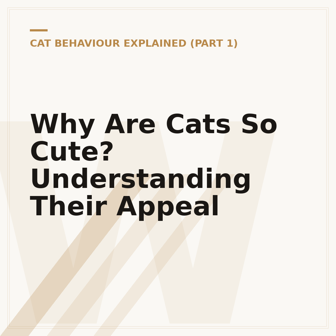Why Are Cats So Cute? Understanding Their Appeal