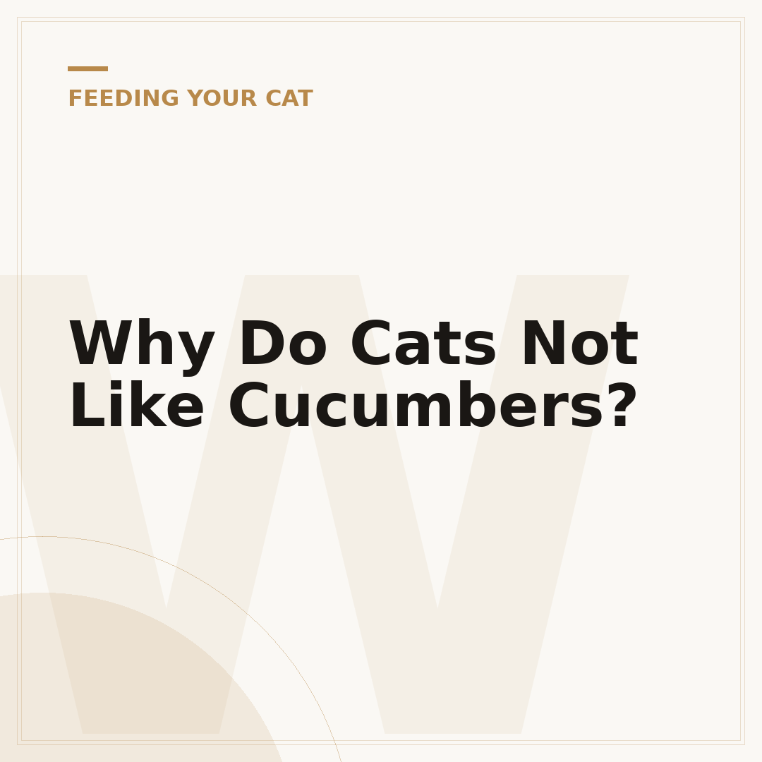 Why Do Cats Not Like Cucumbers?