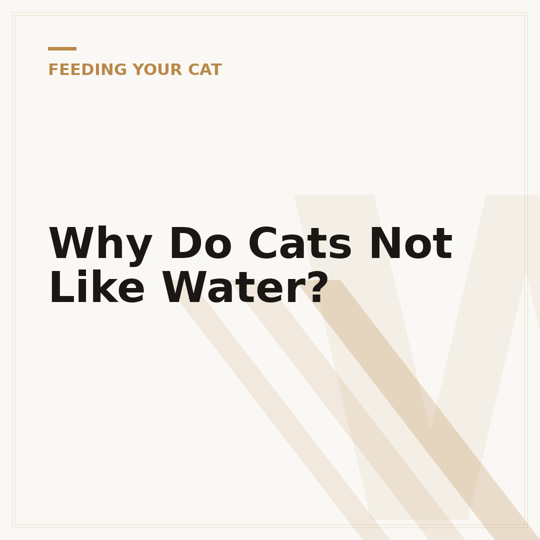 Why Do Cats Not Like Water?
