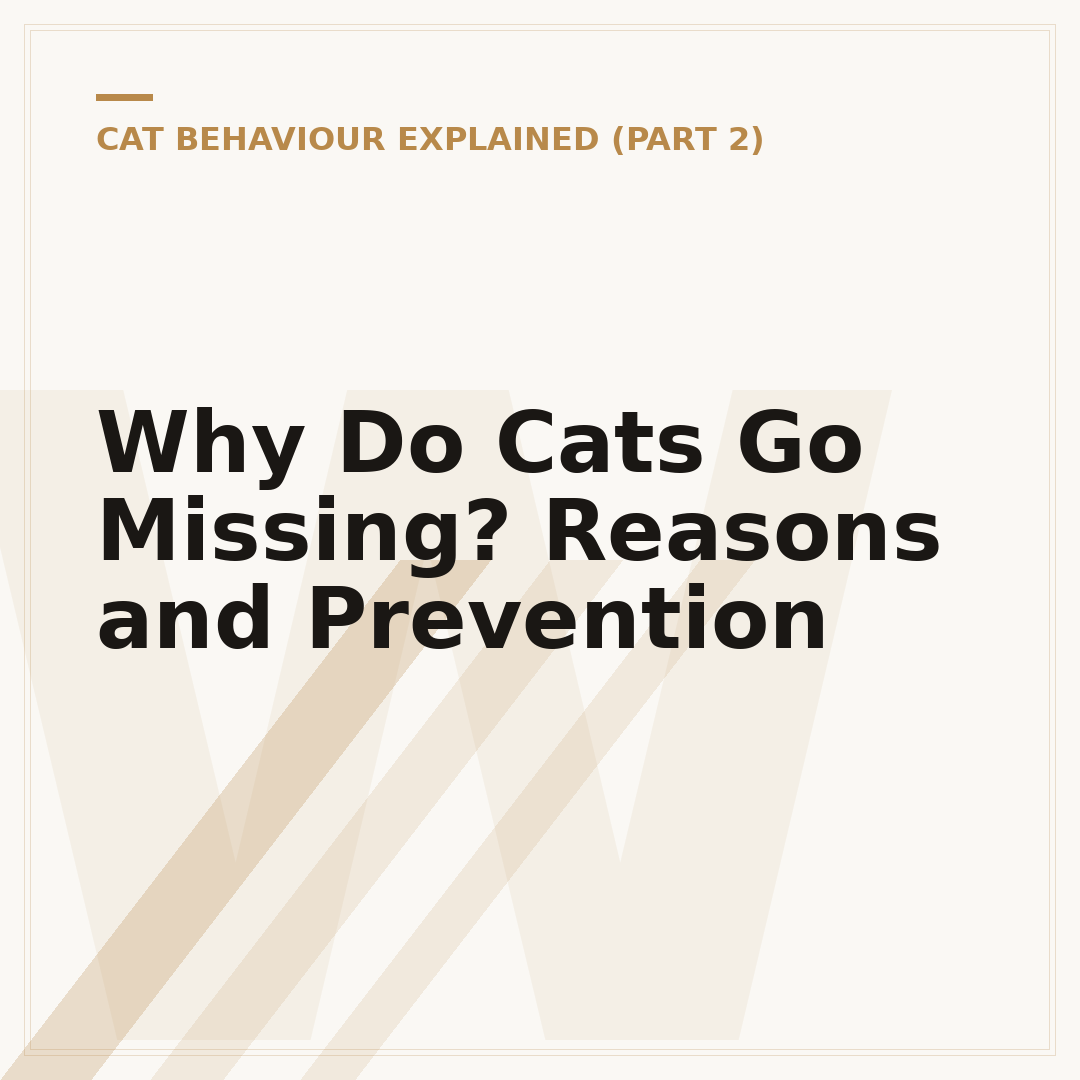 Why Do Cats Go Missing? Reasons and Prevention