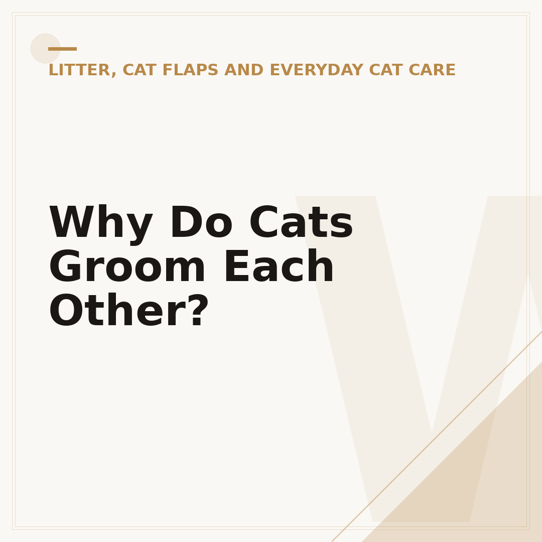 Why Do Cats Groom Each Other?