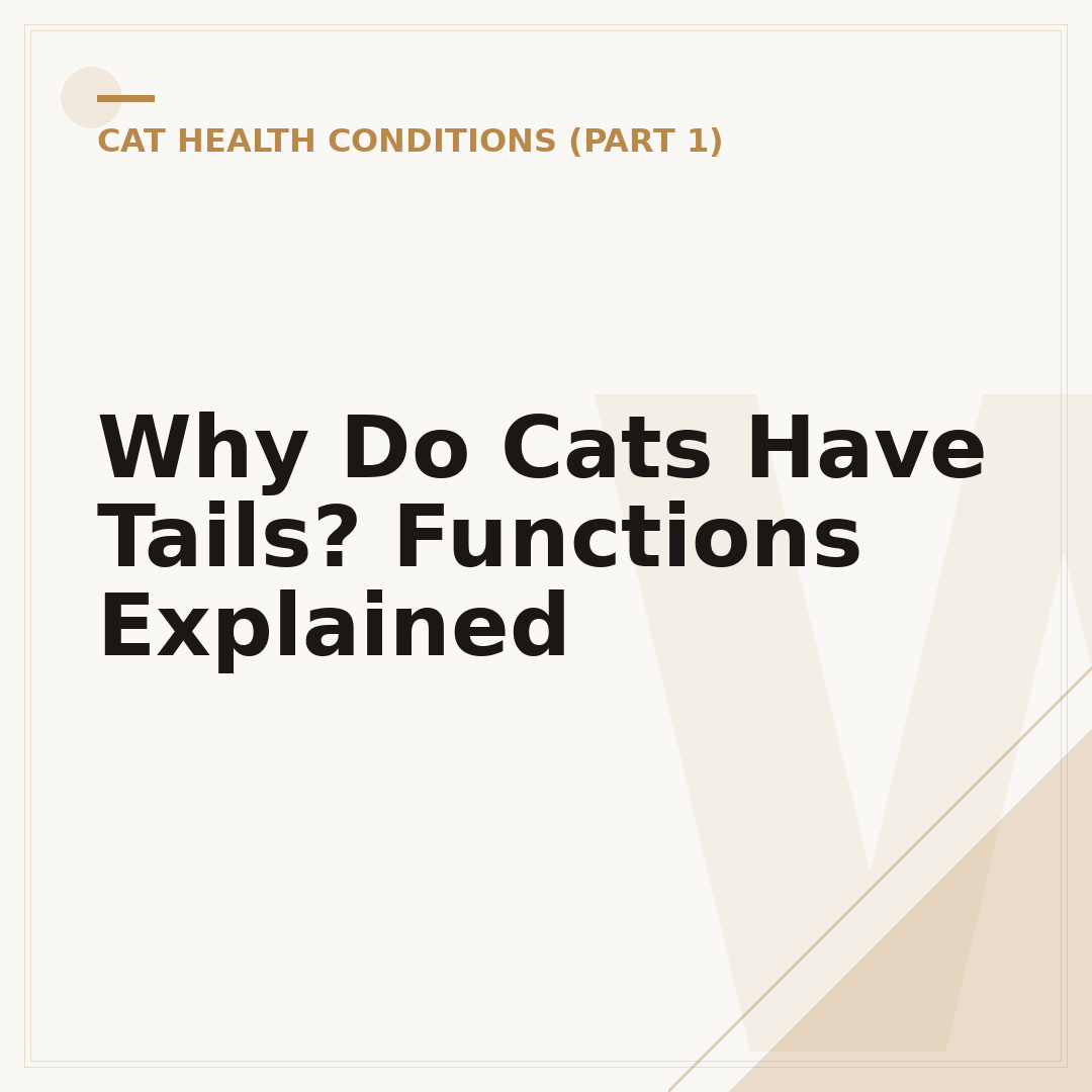 Why Do Cats Have Tails? Functions Explained