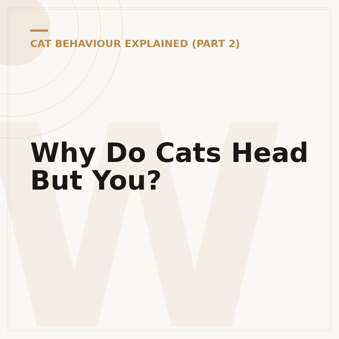 Why Do Cats Head But You?