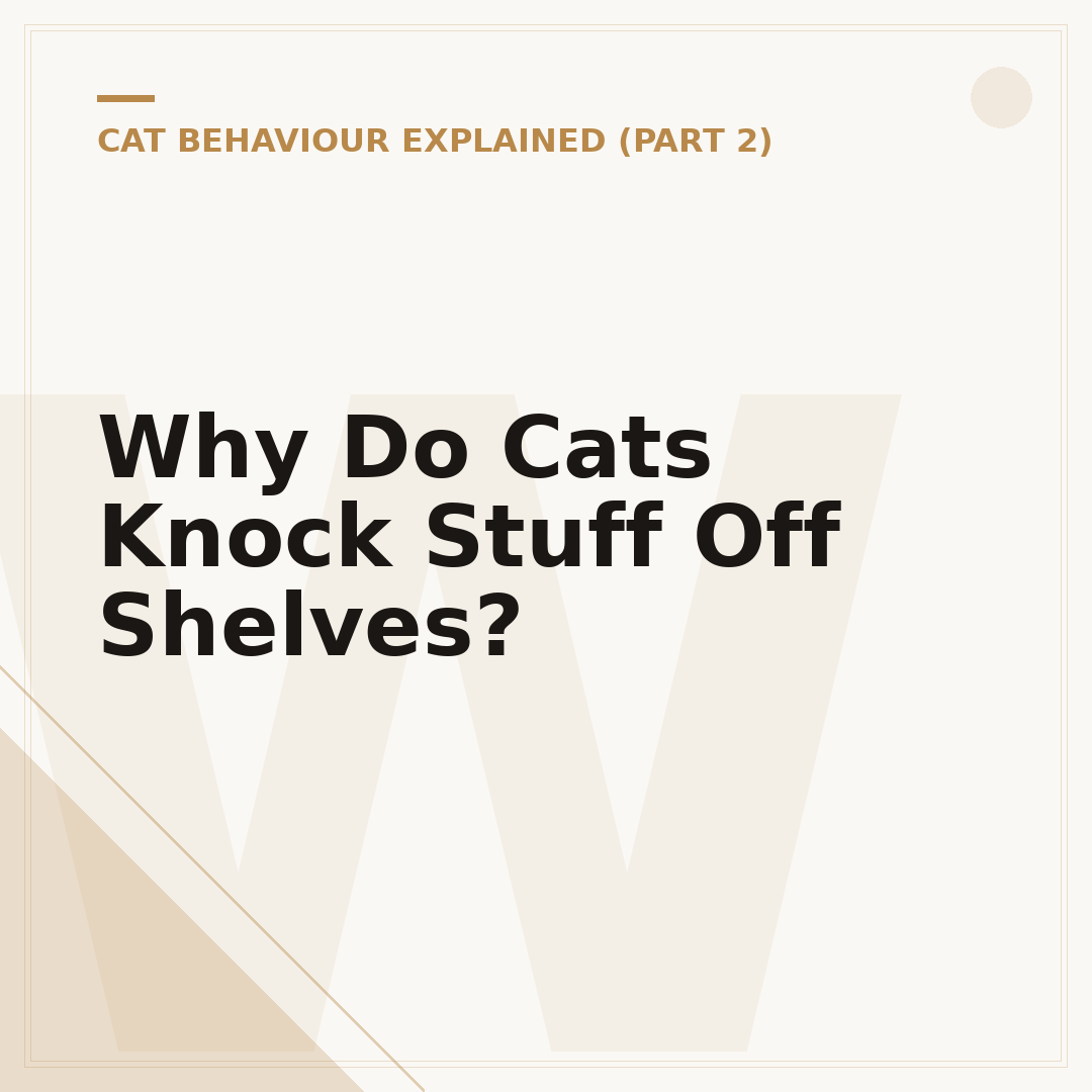 Why Do Cats Knock Stuff Off Shelves?