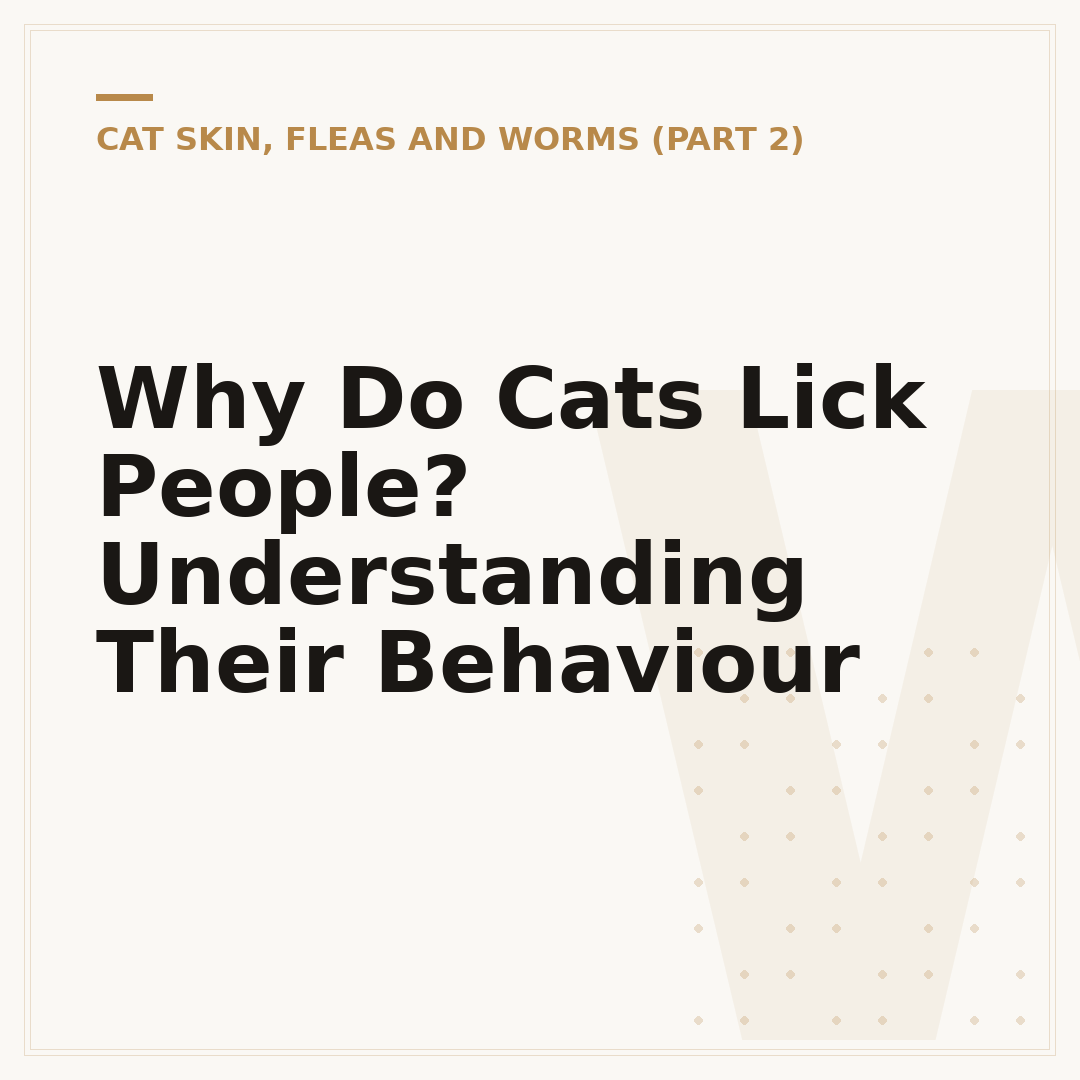 Why Do Cats Lick People? Understanding Their Behaviour