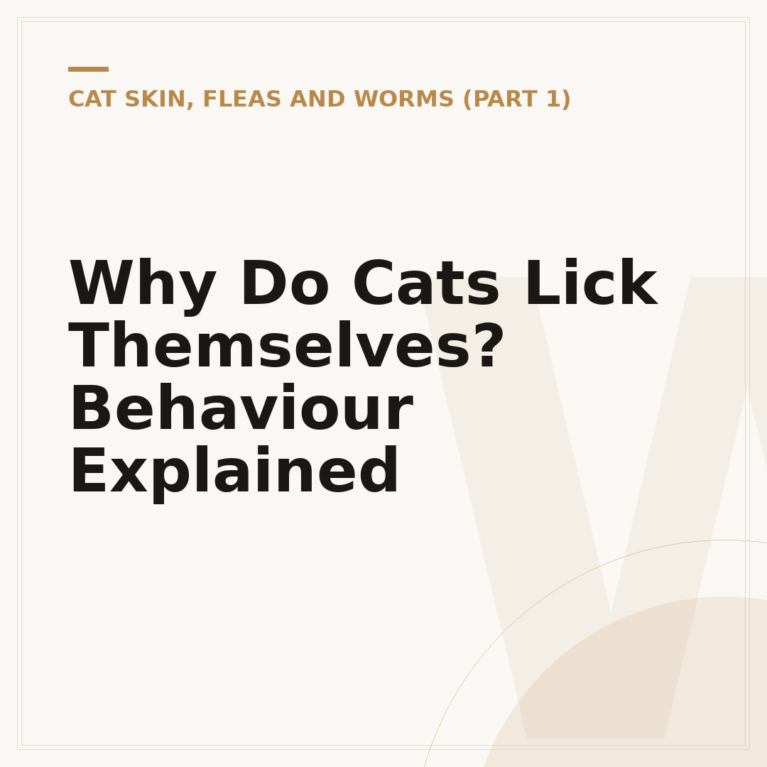 Why Do Cats Lick Themselves? Behaviour Explained