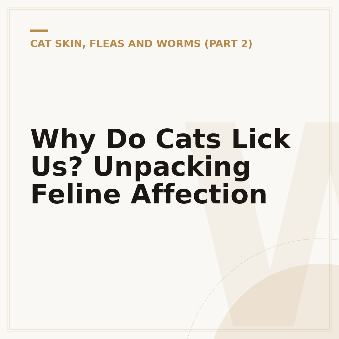 Why Do Cats Lick Us? Unpacking Feline Affection
