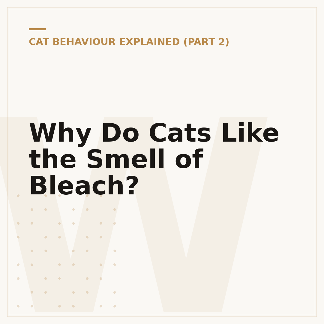 Why Do Cats Like the Smell of Bleach?