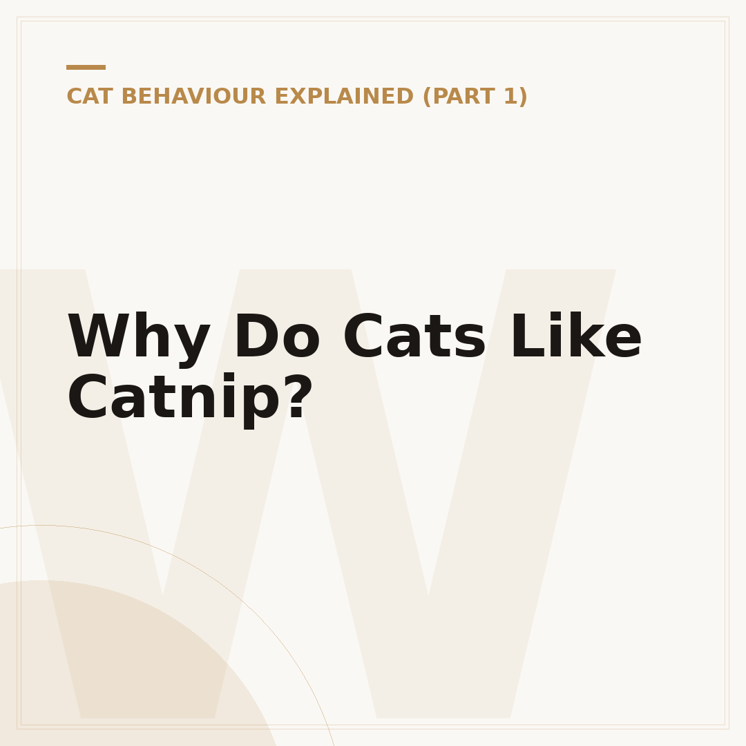 Why Do Cats Like Catnip?
