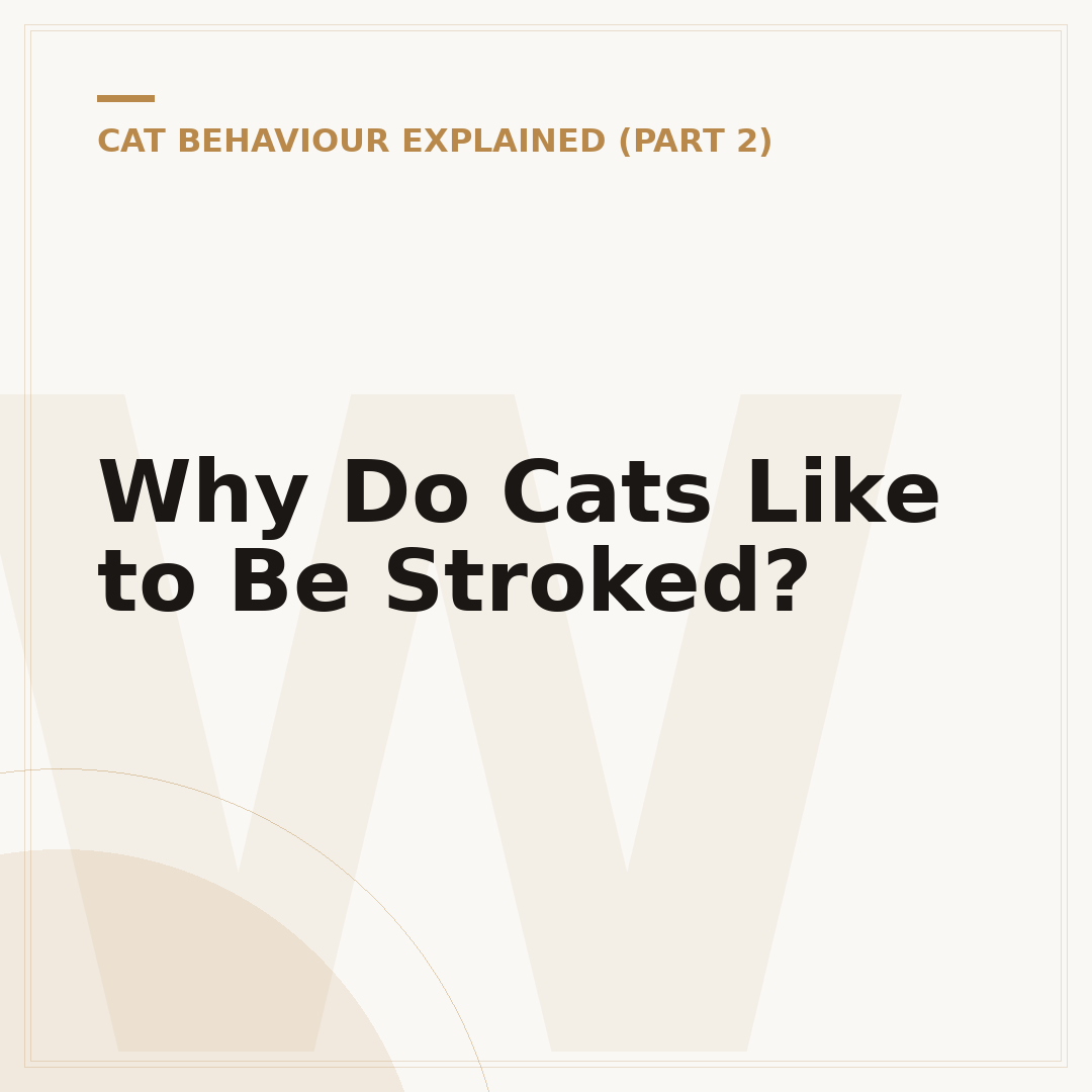 Why Do Cats Like to Be Stroked?