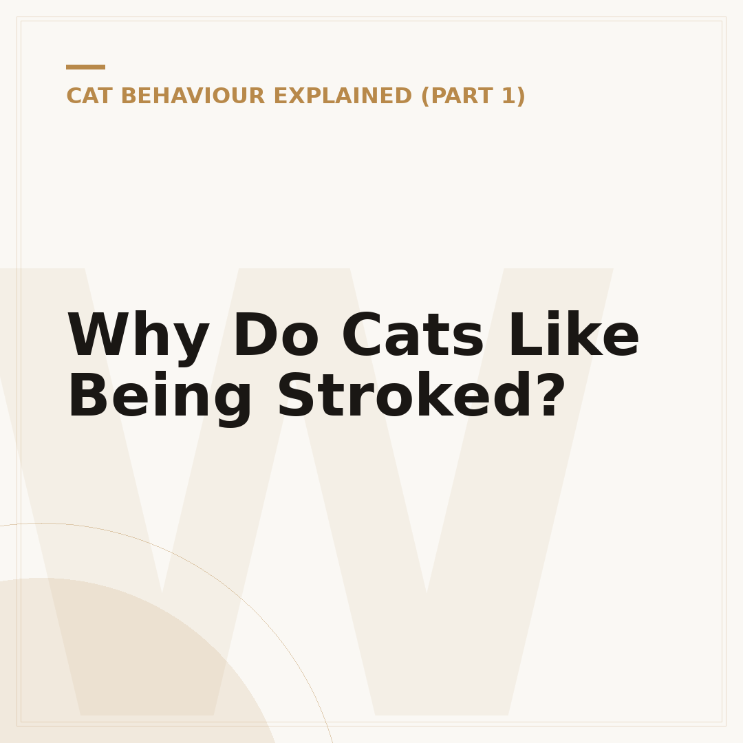 Why Do Cats Like Being Stroked?