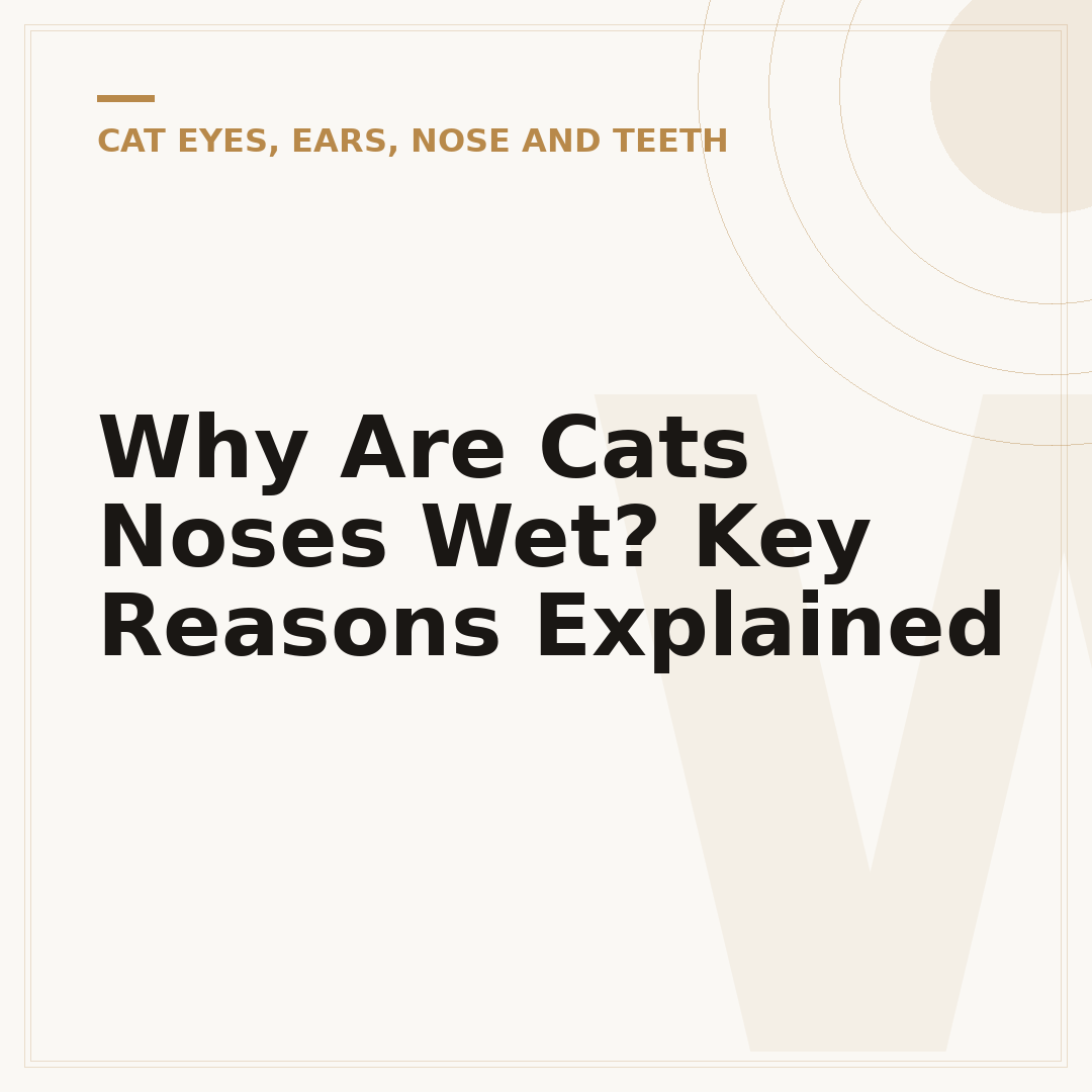 Why Are Cats Noses Wet? Key Reasons Explained