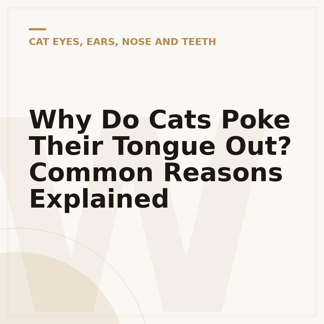 Why Do Cats Poke Their Tongue Out? Common Reasons Explained