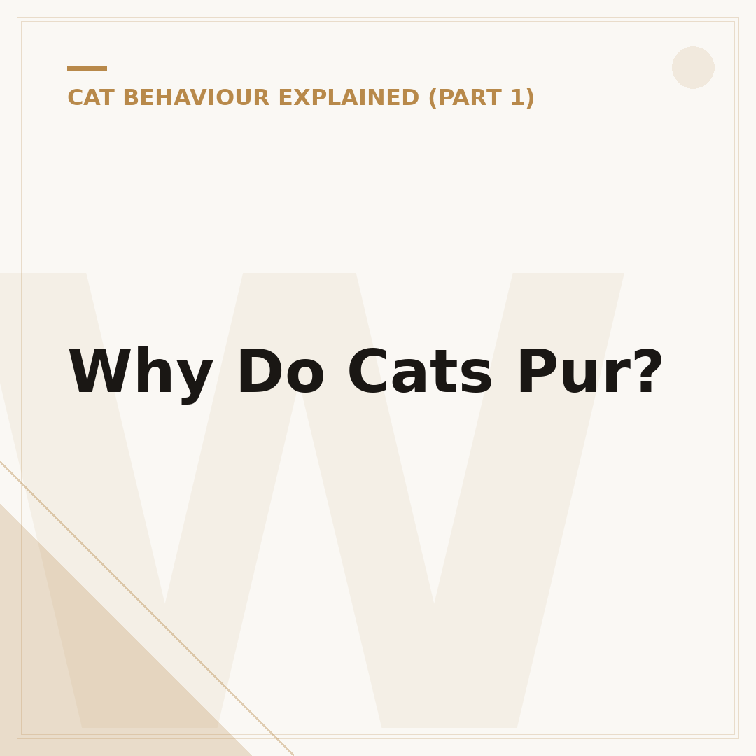 Why Do Cats Pur?