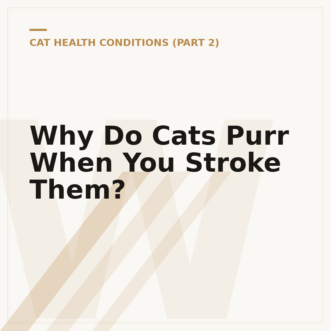Why Do Cats Purr When You Stroke Them?