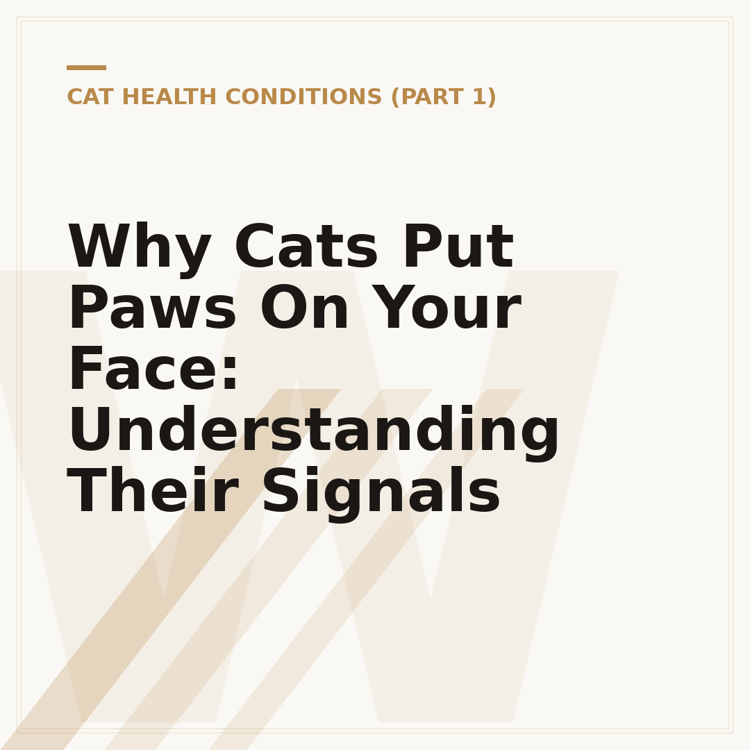 Why Cats Put Paws On Your Face: Understanding Their Signals