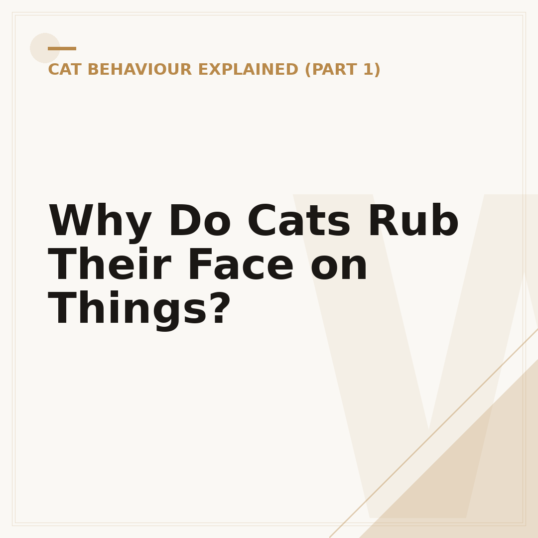 Why Do Cats Rub Their Face on Things?