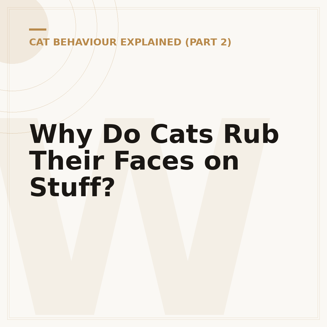 Why Do Cats Rub Their Faces on Stuff?