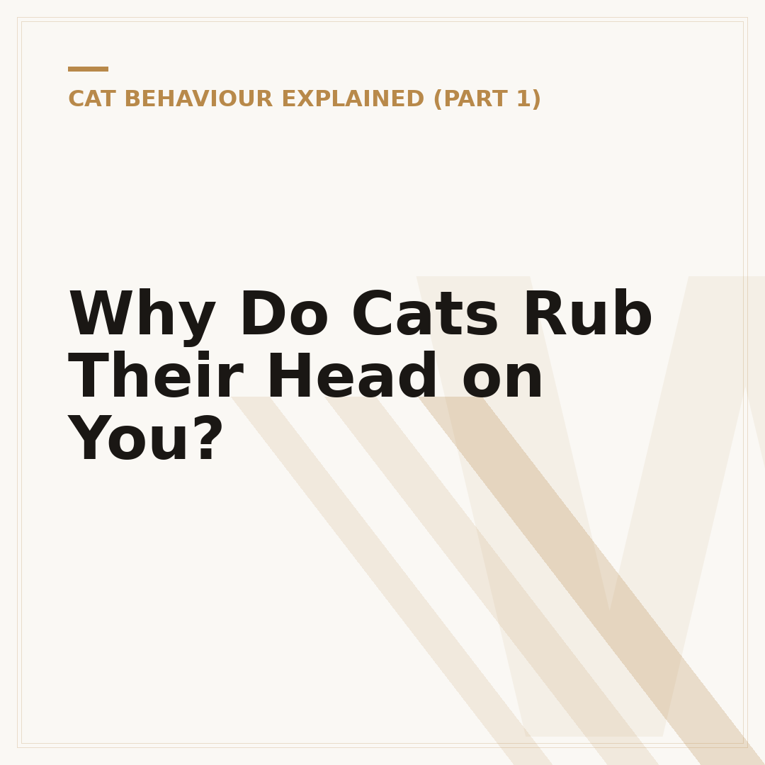 Why Do Cats Rub Their Head on You?
