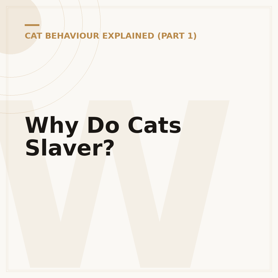 Why Do Cats Slaver?