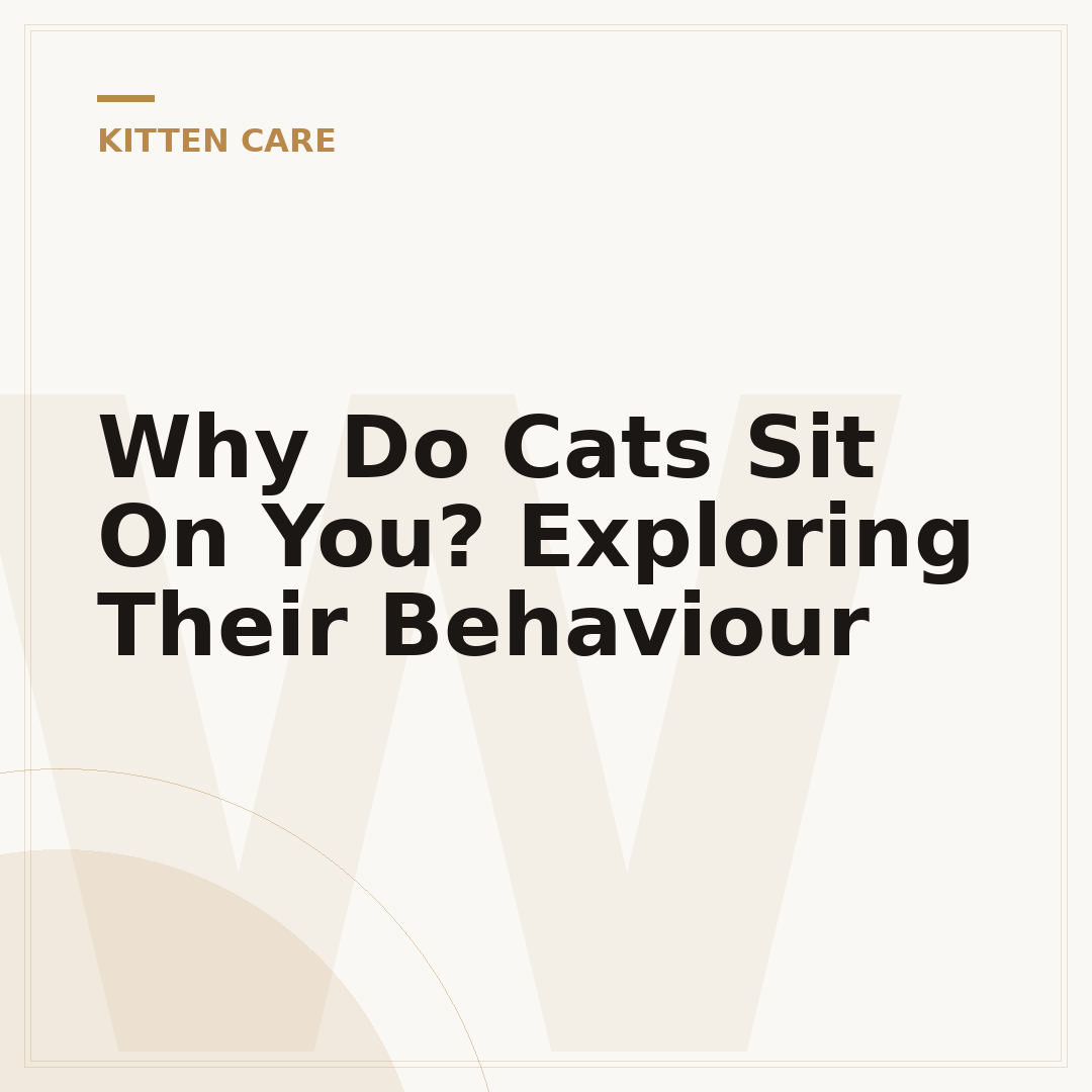 Why Do Cats Sit On You? Exploring Their Behaviour