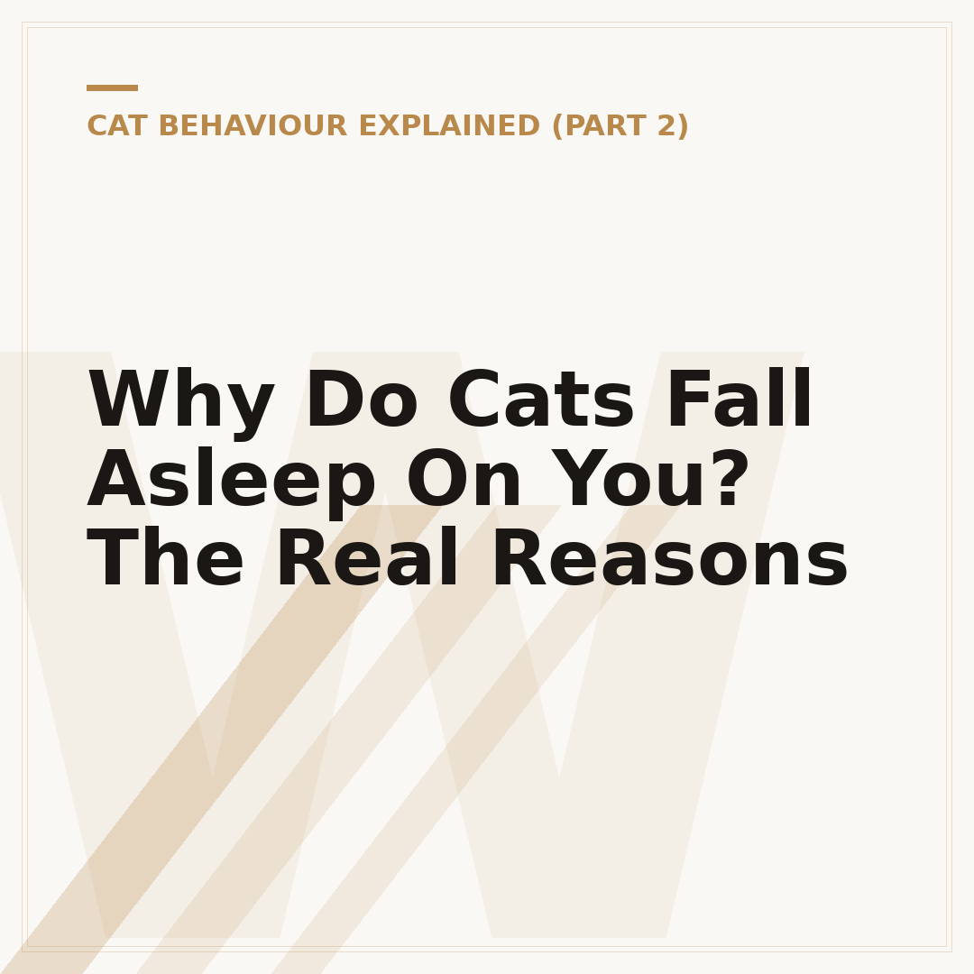 Why Do Cats Fall Asleep On You? The Real Reasons
