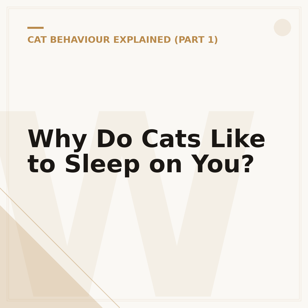 Why Do Cats Like to Sleep on You?