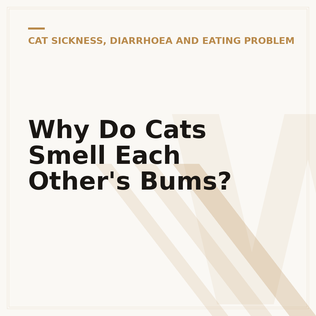 Why Do Cats Smell Each Other's Bums?