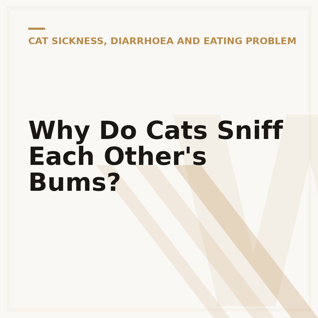 Why Do Cats Sniff Each Other's Bums?