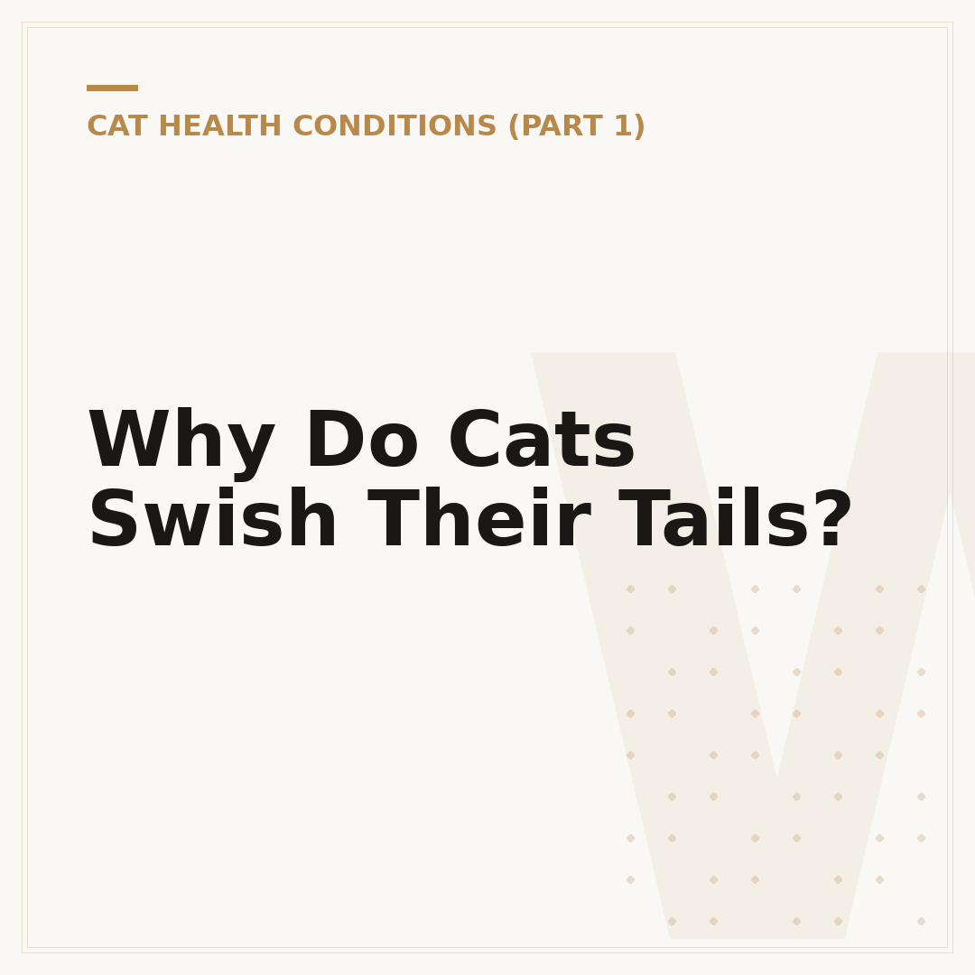 Why Do Cats Swish Their Tails?