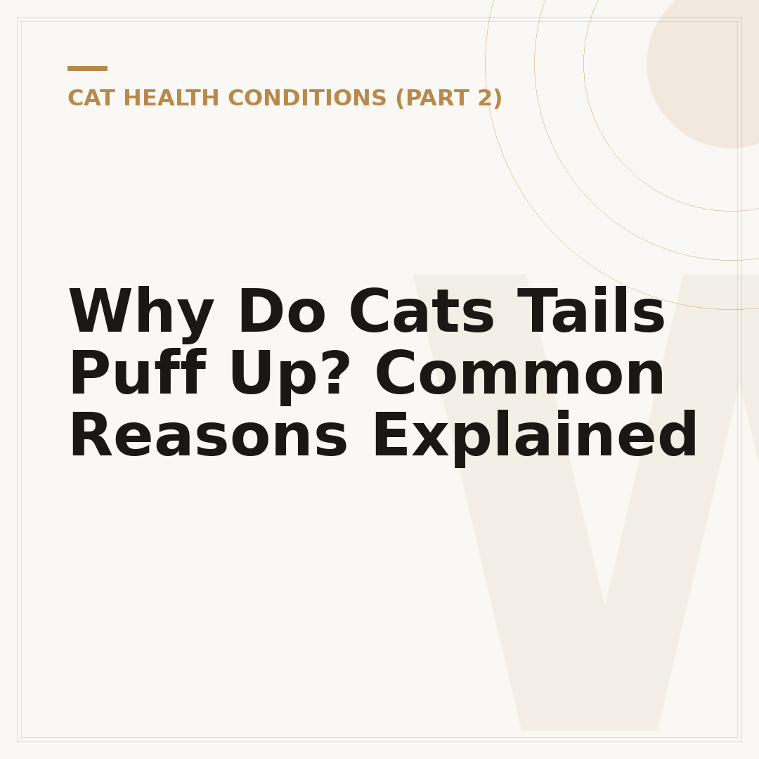 Why Do Cats Tails Puff Up? Common Reasons Explained