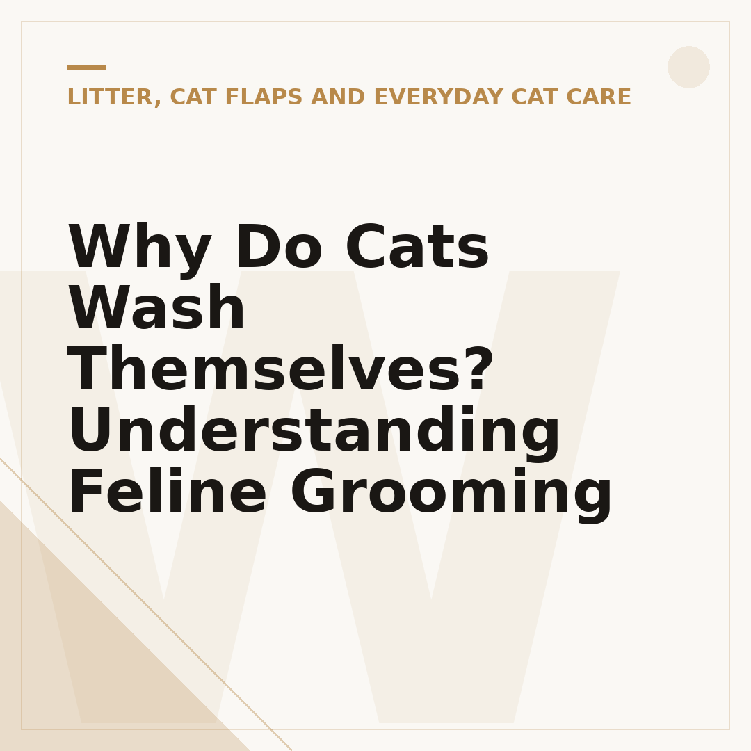 Why Do Cats Wash Themselves? Understanding Feline Grooming