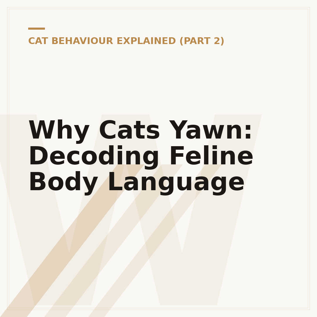 Why Cats Yawn: Decoding Feline Body Language