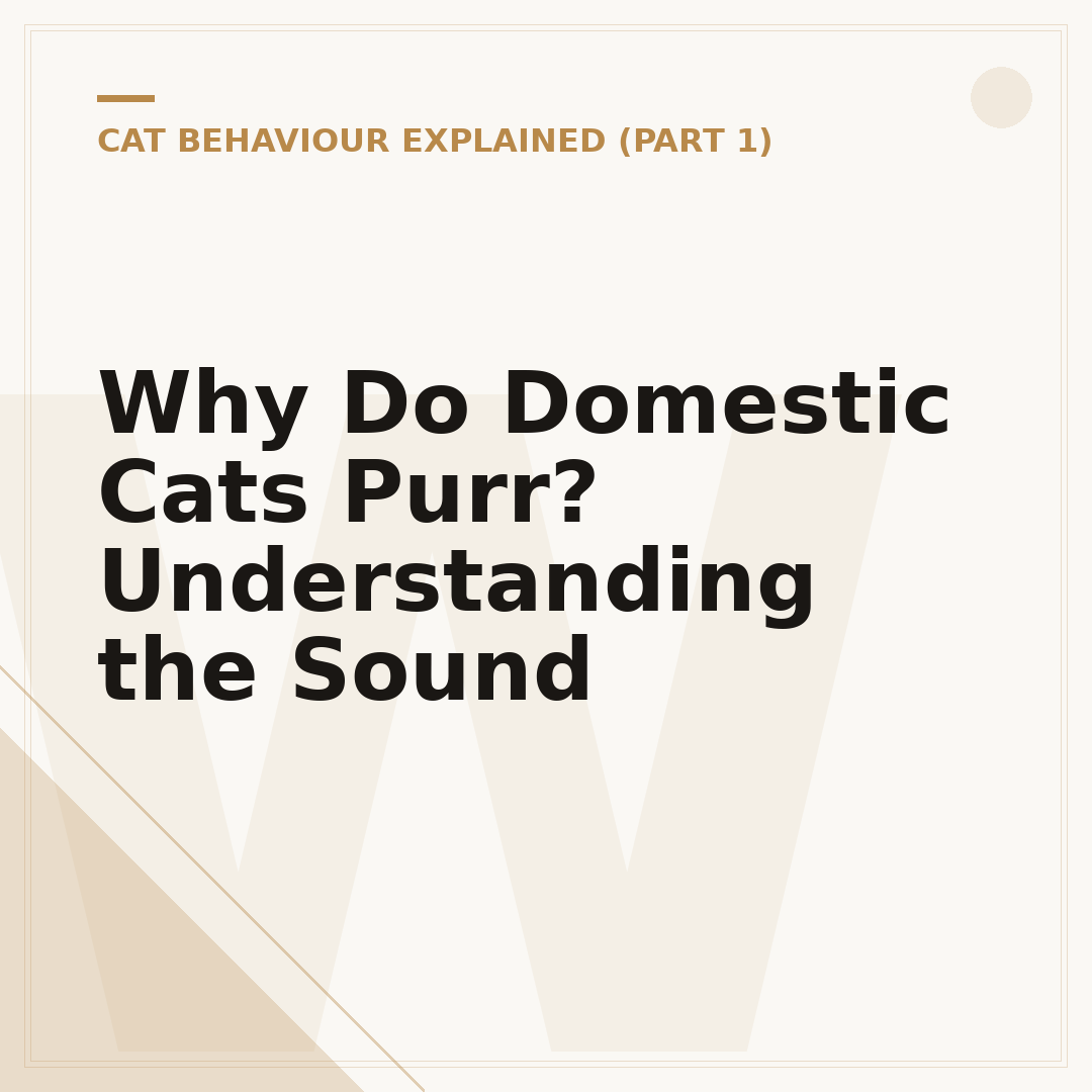 Why Do Domestic Cats Purr? Understanding the Sound