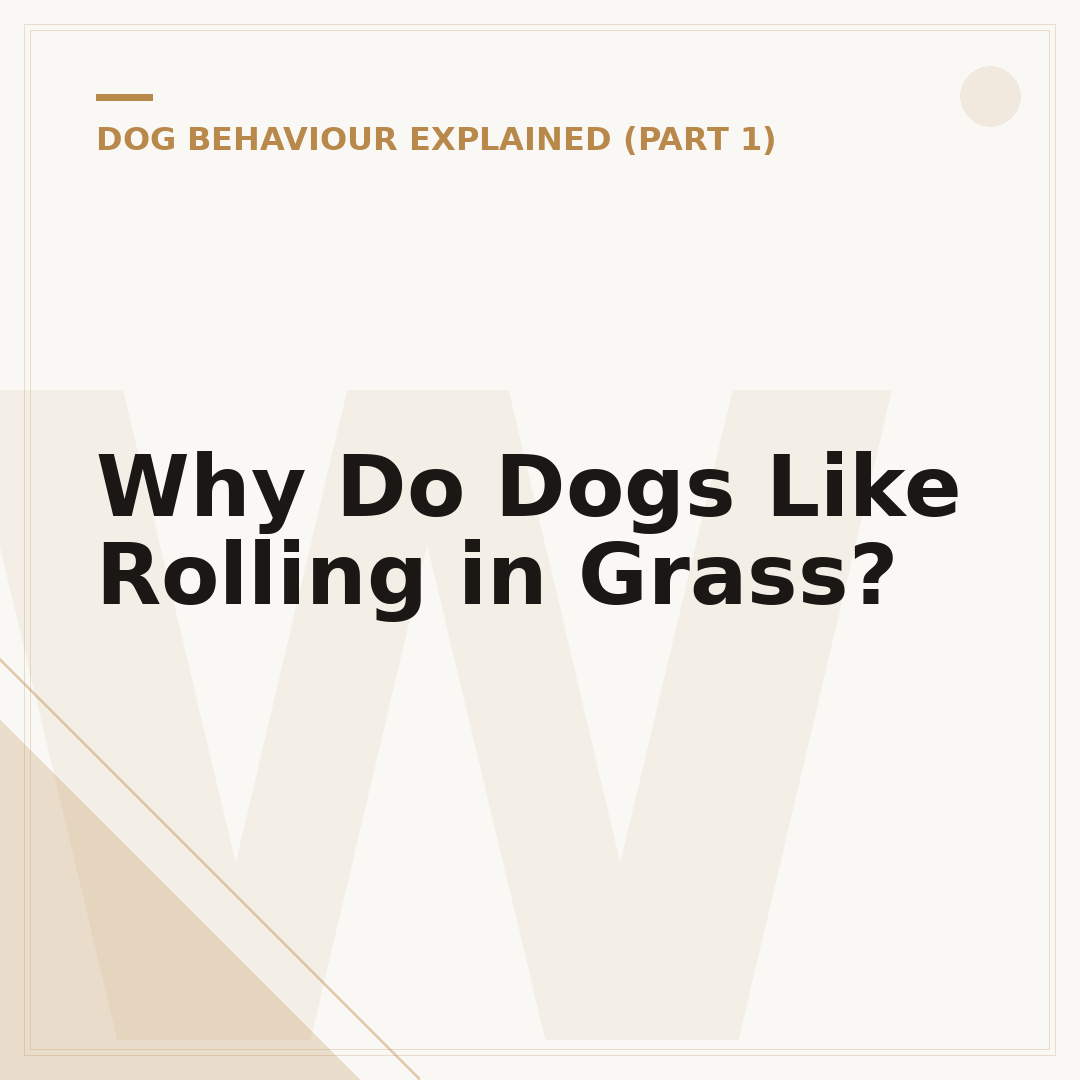 Why Do Dogs Like Rolling in Grass?