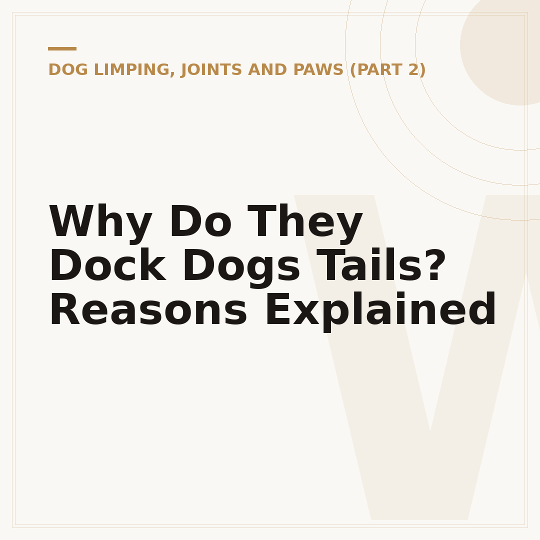 Why Do They Dock Dogs Tails? Reasons Explained