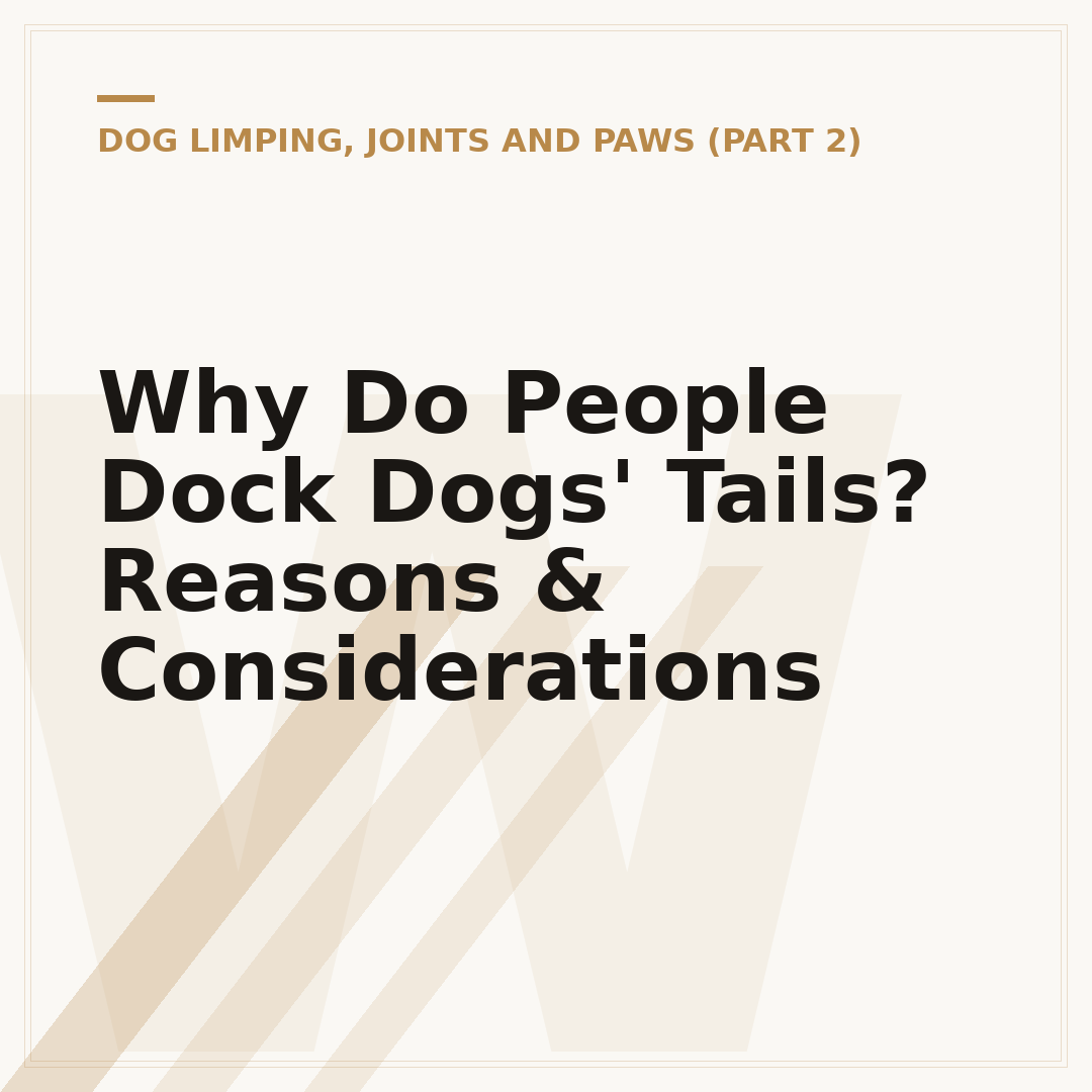 Why Do People Dock Dogs' Tails? Reasons & Considerations