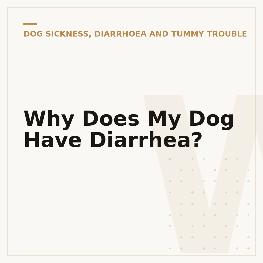 Why Does My Dog Have Diarrhea?