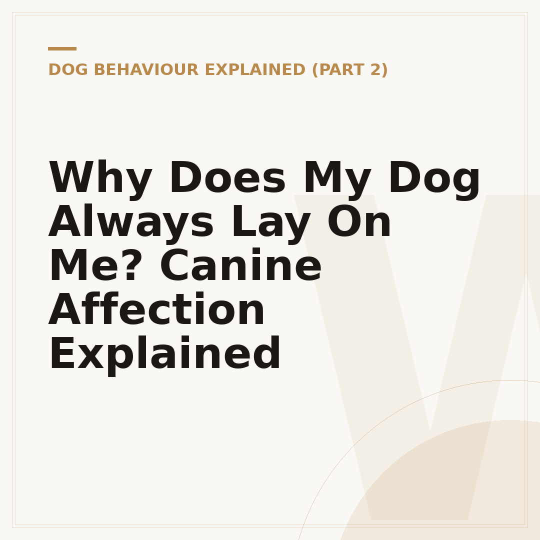Why Does My Dog Always Lay On Me? Canine Affection Explained
