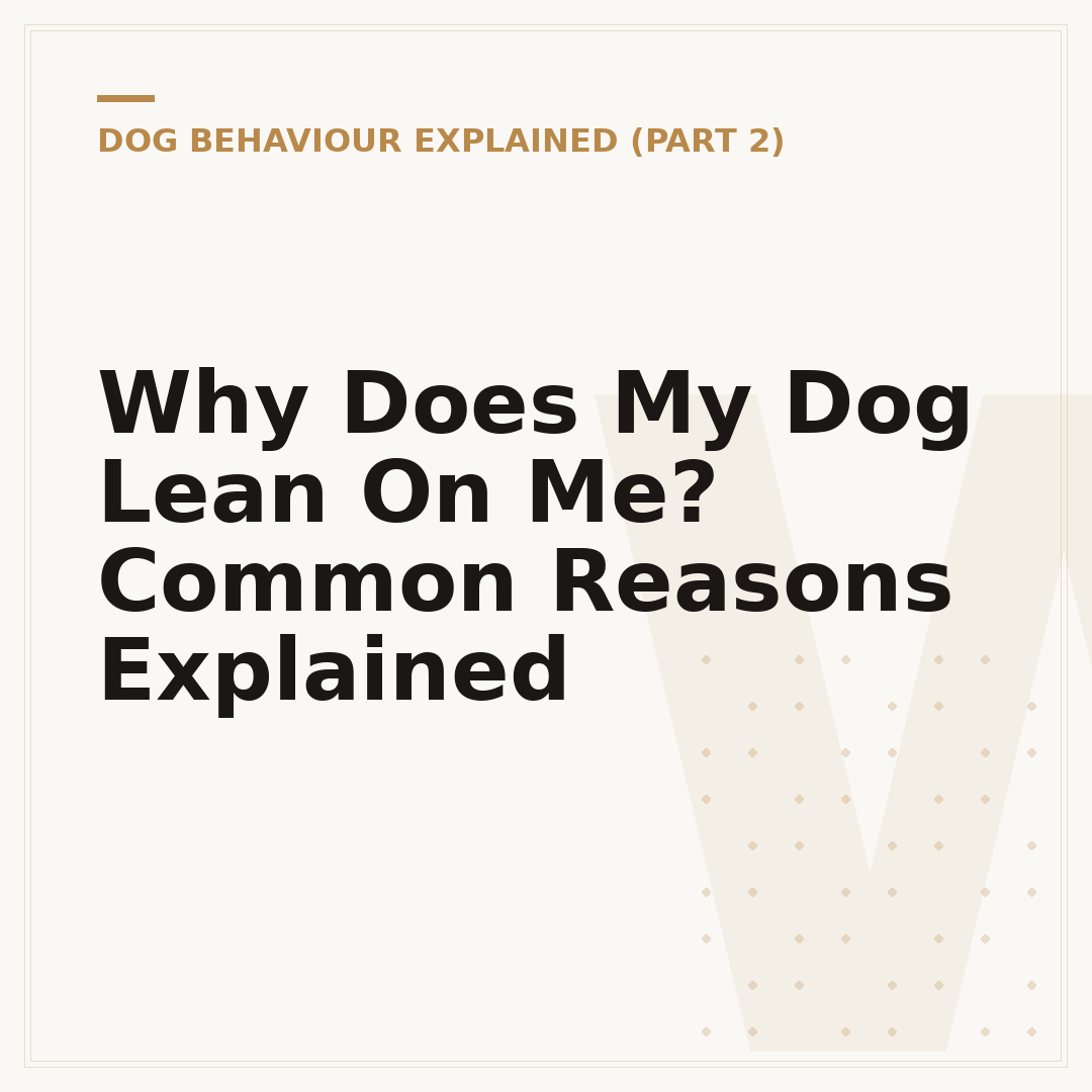 Why Does My Dog Lean On Me? Common Reasons Explained